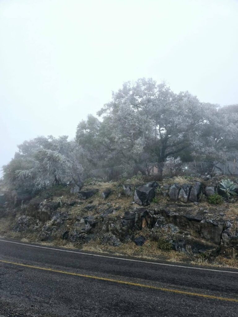 Paisaje invernal en la sierra de Victoria; aguanieve cubre Alta Cumbre