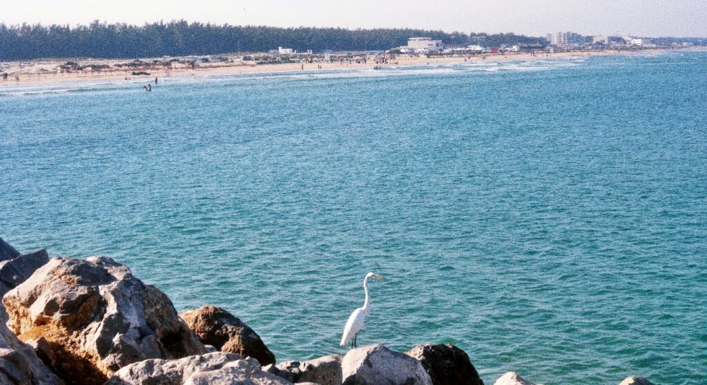 Tamaulipas no restringirá cuatrimotos ni alcohol en playas