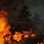 Van por sanciones ejemplares contra responsables de incendios