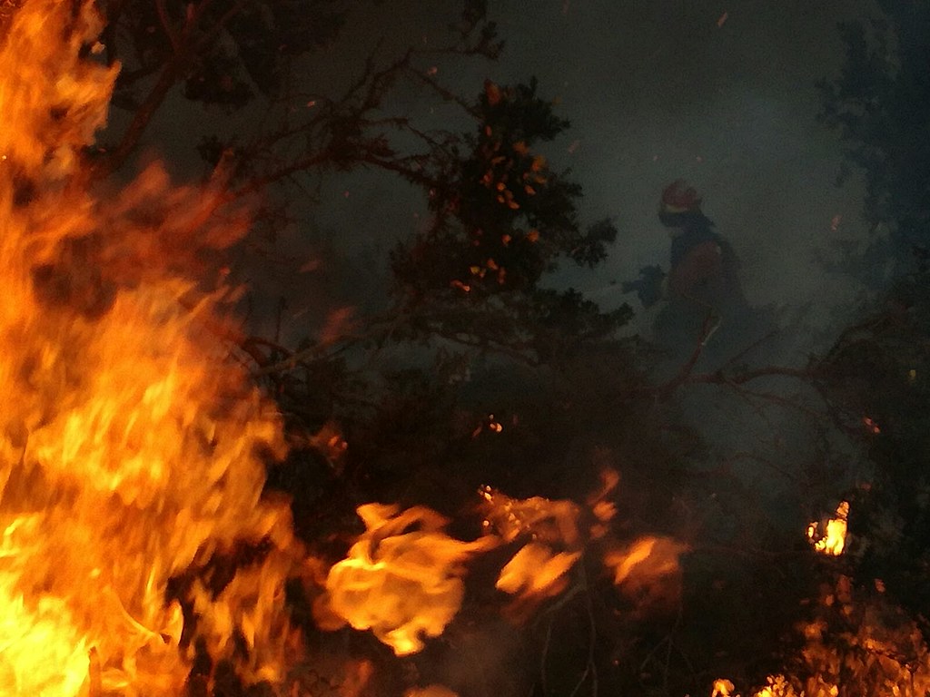 Van por sanciones ejemplares contra responsables de incendios