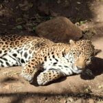 WhatsApp Image 2026-02-17 at 5.40.19 PM