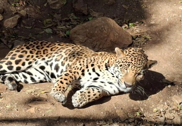 WhatsApp Image 2026-02-17 at 5.40.19 PM