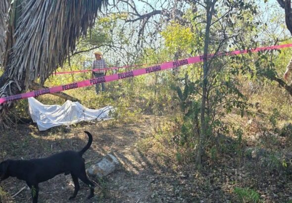 WhatsApp Image 2026-02-19 at 12.01.26 PM