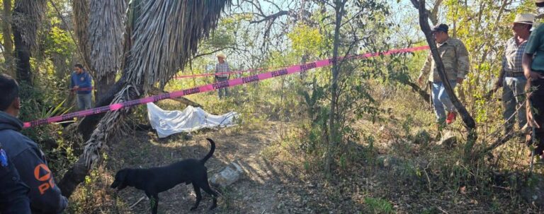 WhatsApp Image 2026-02-19 at 12.01.26 PM