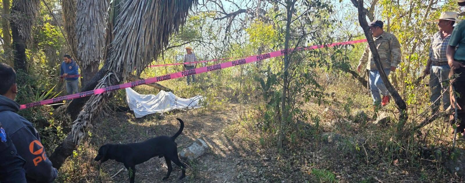 WhatsApp Image 2026-02-19 at 12.01.26 PM