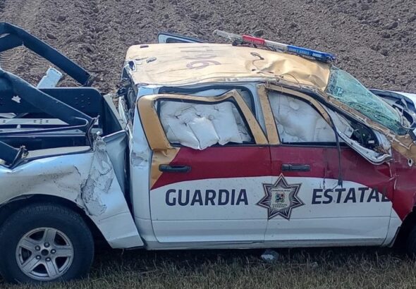 WhatsApp Image 2026-02-19 at 12.39.42 PM