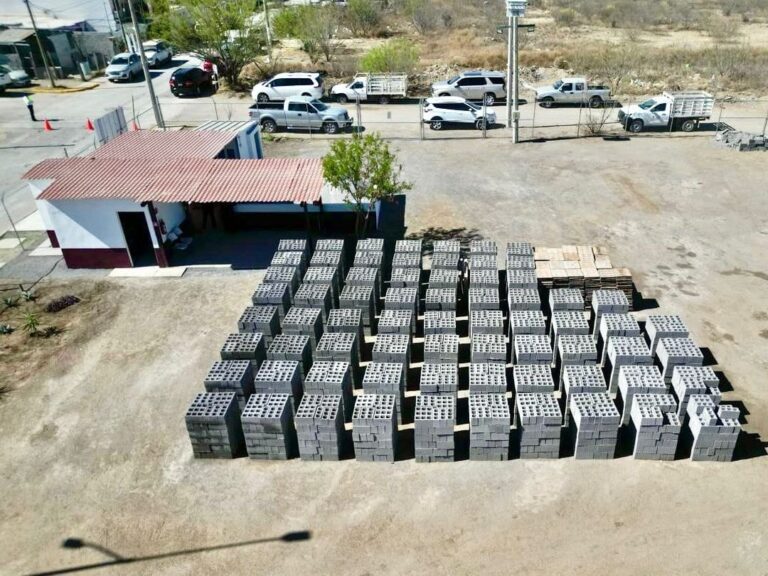 WhatsApp Image 2026-03-15 at 1.20.16 PM