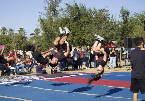 WhatsApp Image 2026-03-17 at 10.35.08 AM