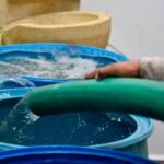 Ciudad Victoria sufre caída crítica en suministro de agua