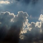 Tamaulipas Ahora (3)