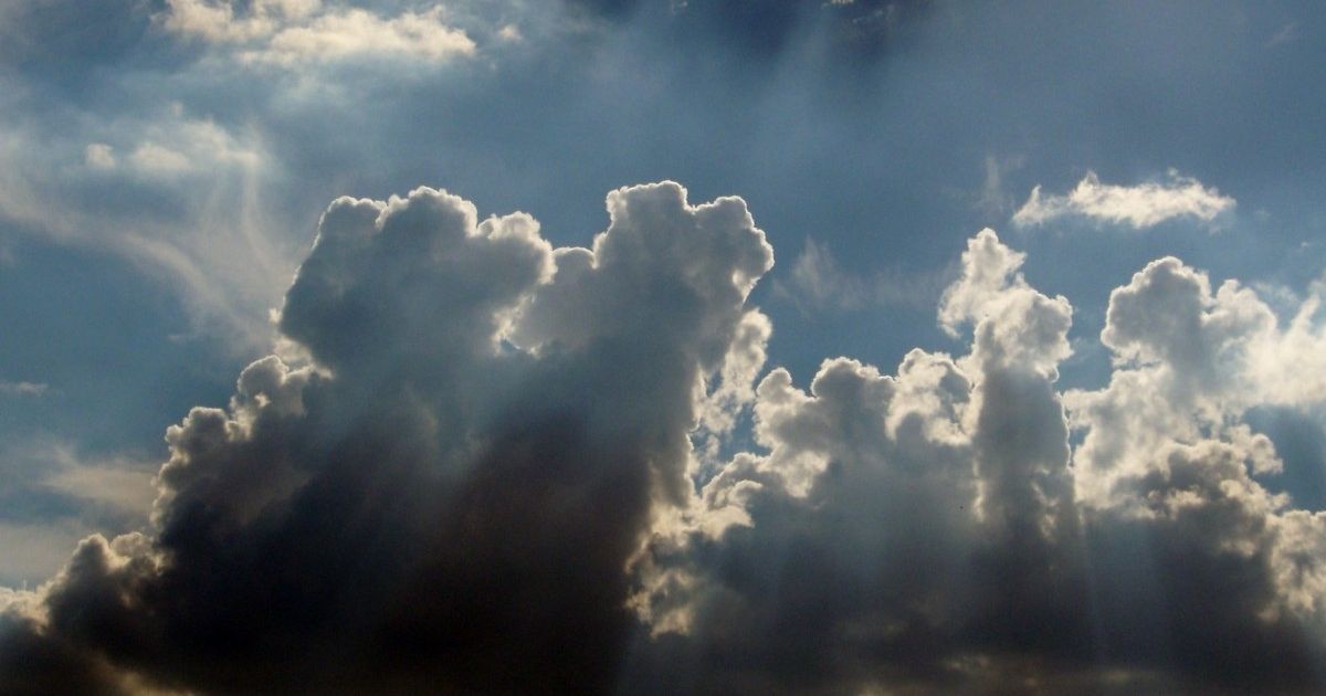 Tamaulipas Ahora (3)