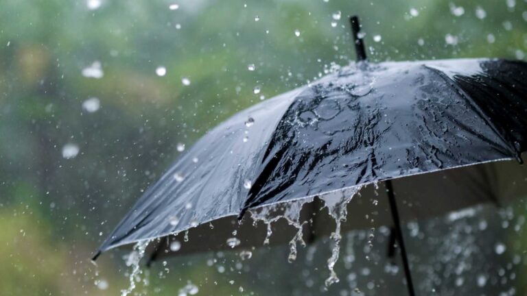 Clima en Tamaulipas hoy 7 de mayo: lluvias y tormentas
