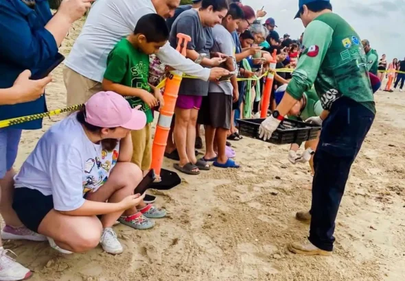 Familias participan en liberación de tortuga lora en La Pesca